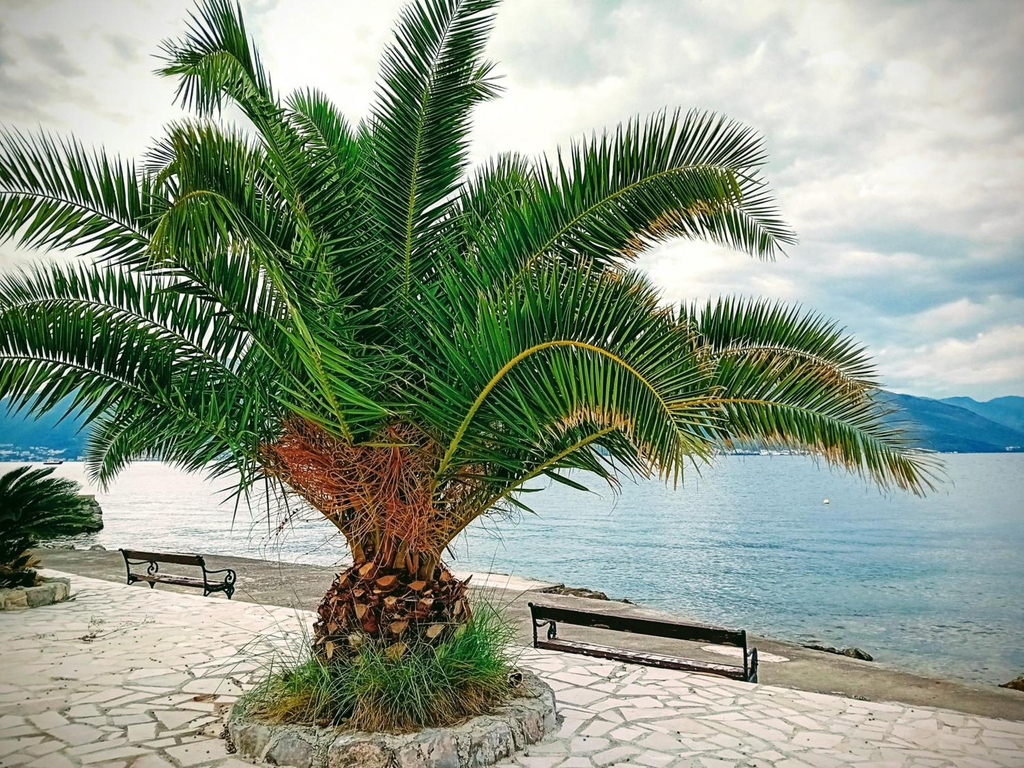 Studio Happy Montenegro Krasici Exterior photo